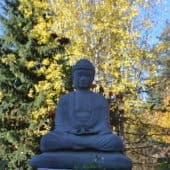 Buddha statue in front of trees in the autumn turning yellow and orange.