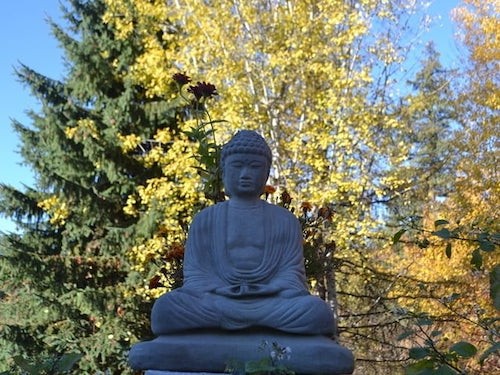 Buddha statue in front of trees in the autumn turning yellow and orange.
