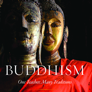 The four immeasurables in the Pali and Sanskrit traditions Cover of the book "Buddhism: One Teacher, Many Traditions"