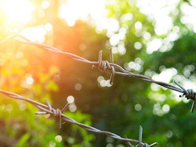 Sunrise behind barbed wire fence.