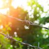Sunrise behind barbed wire fence.
