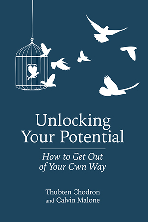 Cover of the book Unlocking Your Potential