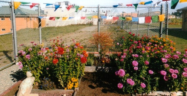 Prayer flags and a rose garden in the courtyard of a prison.