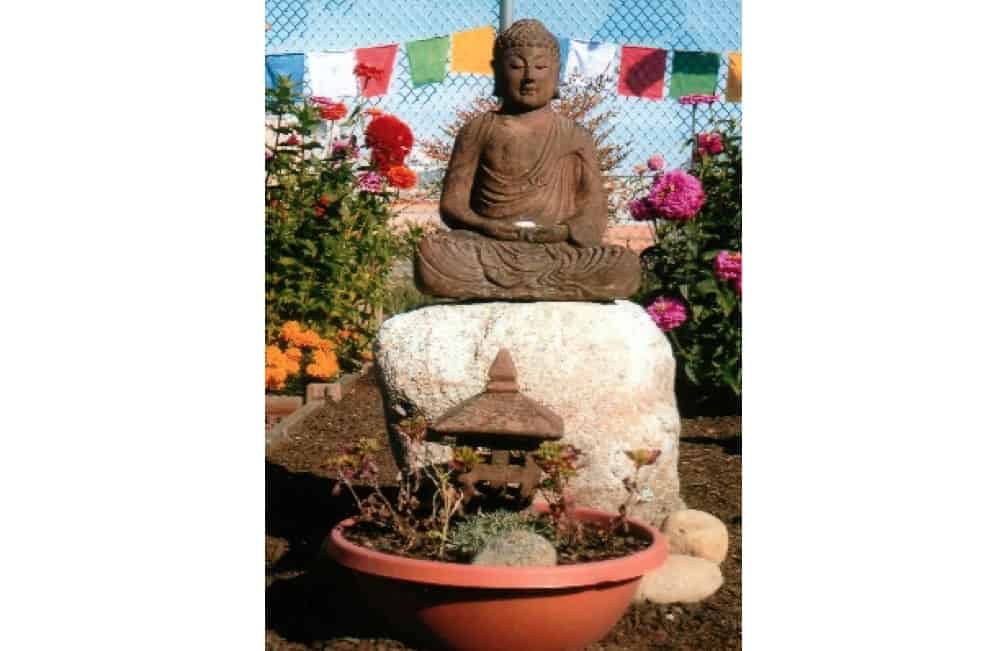 Large Buddha statue in front of prayer flags and a rose garden.