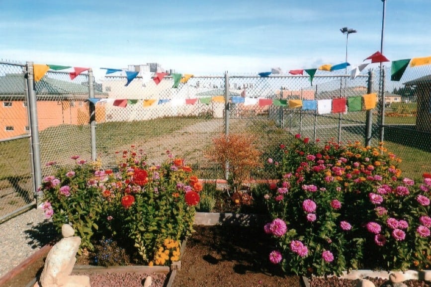 Prayer flags hung over a bed of rose bushes.