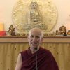 Venerable Thubten Chodron continues to reflect on her recent travels.