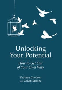 Book cover of Unlocking Your Potential