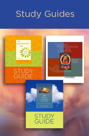 Study guides