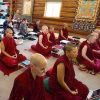 A group of nuns meditating.