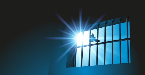 Silhouette of prison bars with blue sky, sun, and bird flying by.