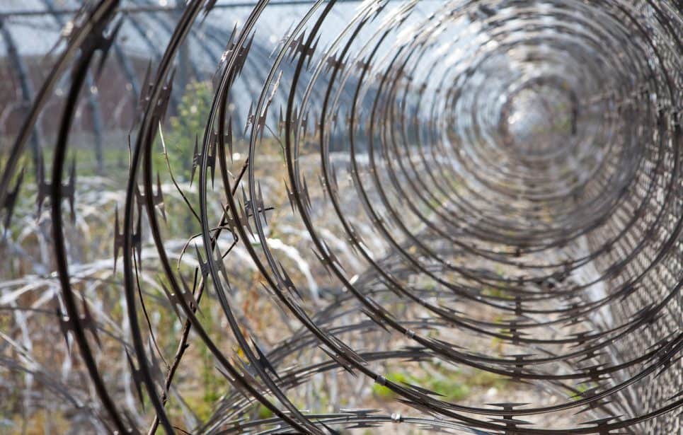 Barbed wire in a garden.