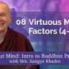 Know Your Mind: Virtuous mental factors