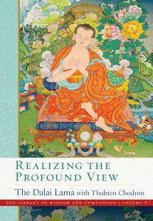 Book cover of Realizing the Profound View