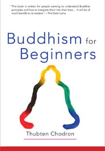 Yeni Başlayanlar için Budizm kitap kapağı