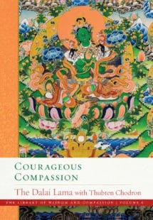 Book cover of Courageous Compassion
