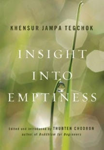 Book cover of Insight Into Emptiness