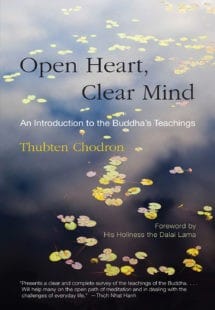 Book cover of Open Heart Clear Mind