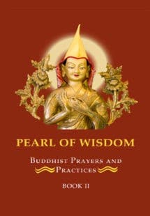 Book cover of Pearl of Wisdom II