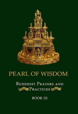 Book cover of Pearl of Wisdom III