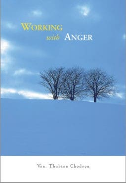 Book cover of Working with Anger