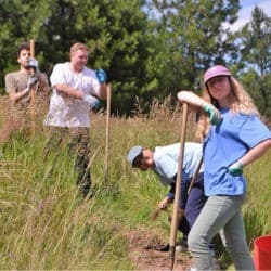 Young Adult Week participants dig up weeds in the meadow with tools.
