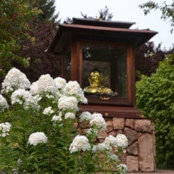 A bush of white flowers in front of a bust of the Buddha in the Buddha House of Sravasti Abbey's garden.