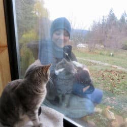 Uczeń opactwa Sravasti niesie kota Maitri, aby połączyć się z kotem Mudit przez okno.