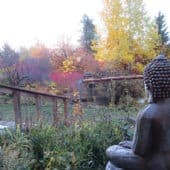 A buddha statue looks over a flower garden.