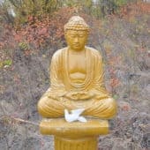 Buddha statue on a pedestal outdoors with a small ceramic white dove in front of him.