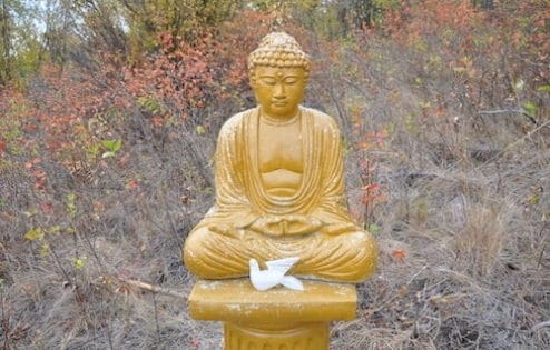 Buddha statue on a pedestal outdoors with a small ceramic white dove in front of him.