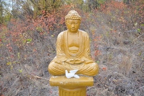 تمثال بوذا على قاعدة في الهواء الطلق مع حمامة بيضاء خزفية صغيرة أمامه.