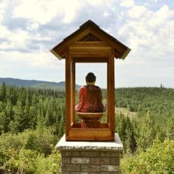 Buddha statue in a wooden house overlooking landscape with trees.