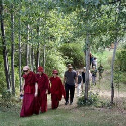 A line of monastics and laypeople do walking meditation in the Sravasti Abbey garden.