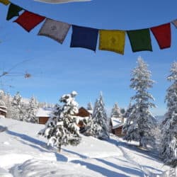 Prayer flags hang over the winter landscape at Sravasti Abbey.