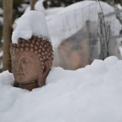 The head of a Buddha statue emerges from a bank of snow in the winter.