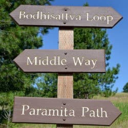 A post with wooden signs point the way to three different Sravasti Abbey forest paths.