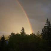 A rainbow appears in the gray sky above the treeline.