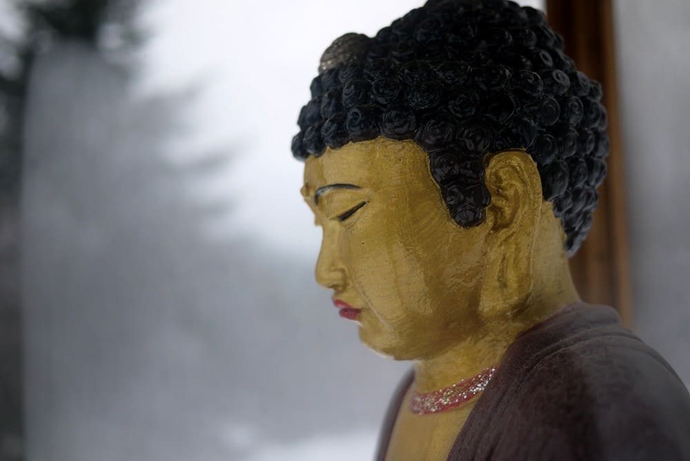 Close up on Buddha statue.