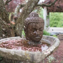 A stone Buddha's head in a heart-shaped stone basin filled with pink petals.