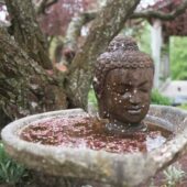 A stone Buddha's head in a heart-shaped stone basin filled with pink petals.