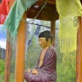 A buddha statue in a wooden and glass house with prayer flags.