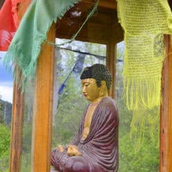 A buddha statue in a wooden and glass house with prayer flags.