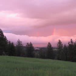 A rainbow peeps out between clouds in a pink sky above trees and a meadow.