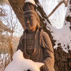 A stone Kuan Yin statue under a tree with snow melting.