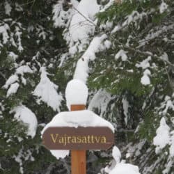 Drewniana tabliczka z napisem „Vajrasattva” przed drzewem pokrytym śniegiem.