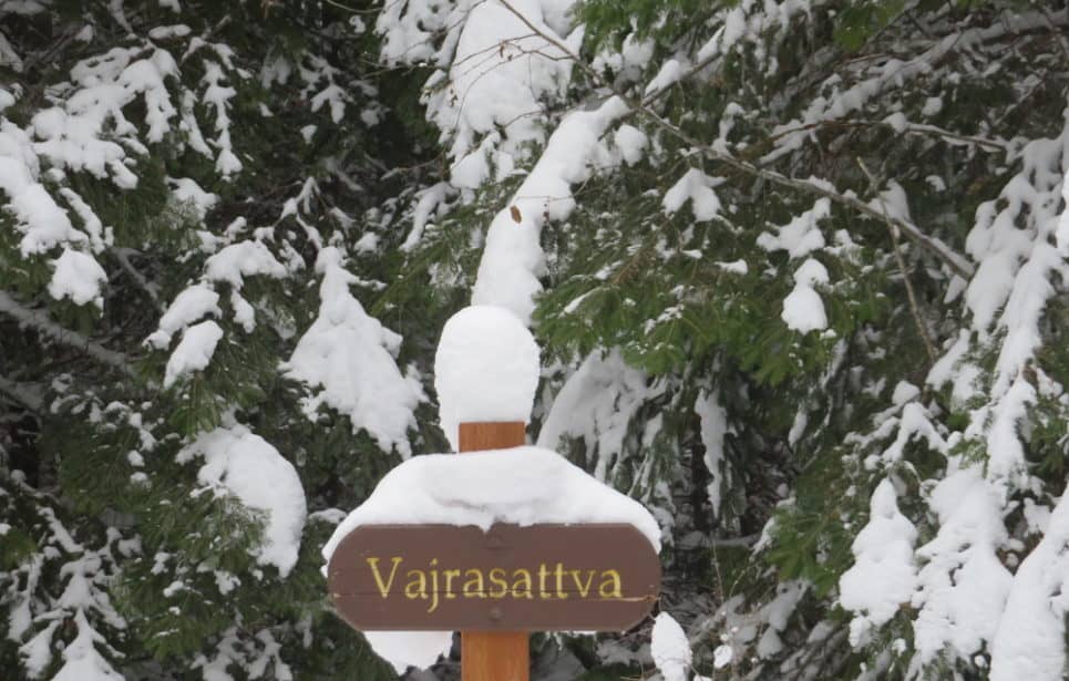 A wooden sign reads "Vajrasattva" in front of a tree covered in snow.