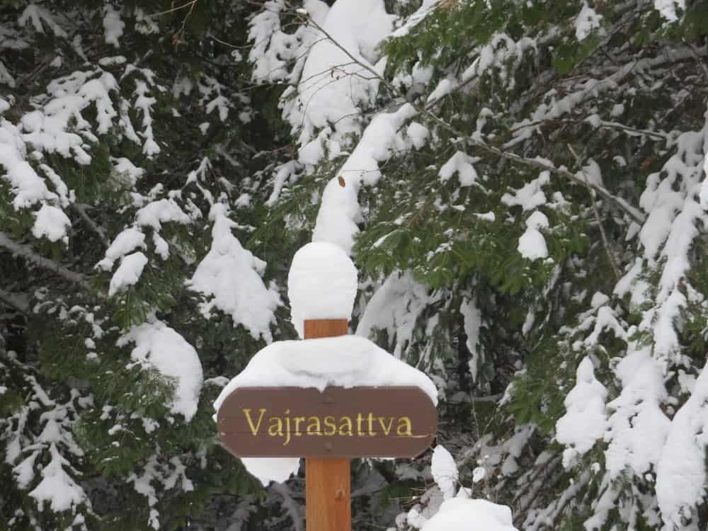 A wooden sign reads "Vajrasattva" in front of a tree covered in snow.