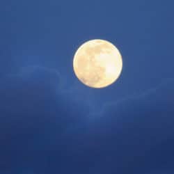 The full moon shines bright in the night sky.