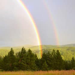 Double rainbows in the sky above forests.