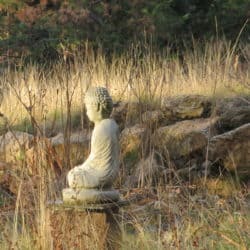 A buddha statue on a pedestal in grass turning brown in the fall.